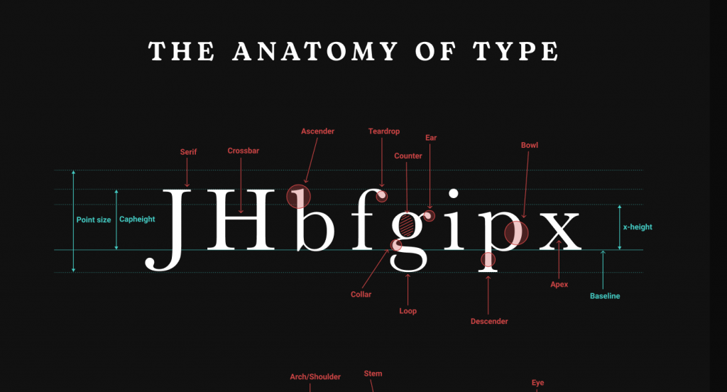 an infographic displaying some letters in a serif font, with specific elements of the letters labelled with descriptions, from 'The Basics of Typography' by Maxime Rabot